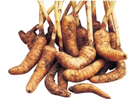 생천마(상) 5kg